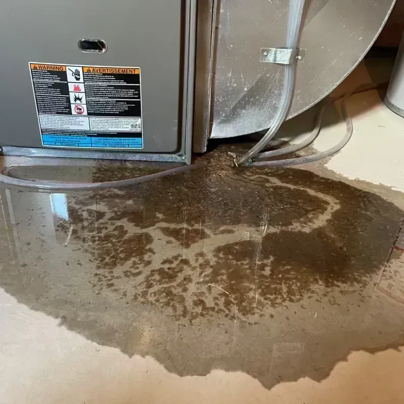 Appliance Leak Cleanup in Cobden, IL